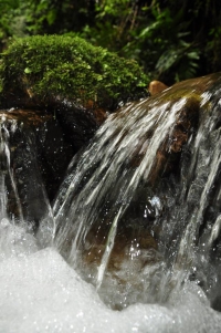 Evite cobros adicionales en su recibo de agua