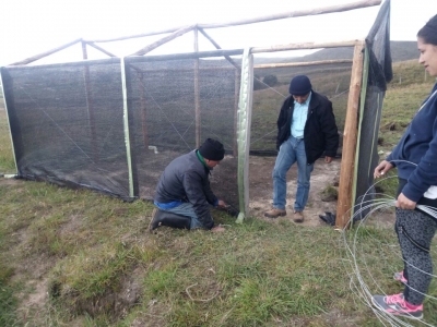 El páramo tendrá vivero de alta montaña para propagación de especies