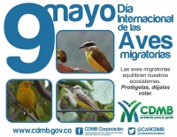 Con charla Técnica CDMB celebra el día internacional de las Aves Migratorias