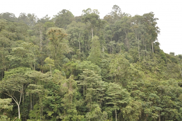 Parque Natural Regional Bosques de Misiguay