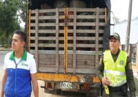 Decomisaron 140 bultos de carbón vegetal