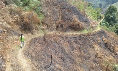 Se quemaron 3 hectáreas en zona rural de Matanza y Rionegro