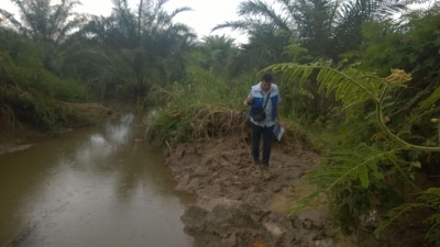 Llamado a las autoridades por emergencia en Papayal, Bajo Rionegro