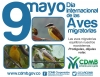 92 especies de aves migran cada año a Santander