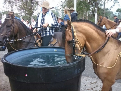 CDMB supervisó equinos en cabalgata de la Mesa de los Santos