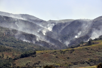 Tres incendios forestales están activos en zona rural de Tona