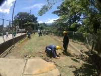 Satisfactoria jornada ‘Unidos por el Ambiente’ en Villas del Romero