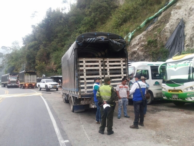 Decomisan madera y capturan dos personas en La Corcova