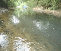 Empresa avícola deberá limpiar lecho del río Lato por orden de la CDMB