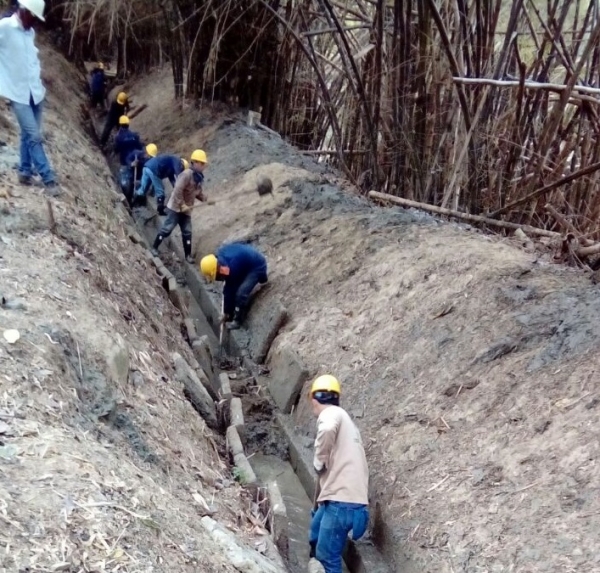 Reabre sus puertas el Jardín Botánico Eloy Valenzuela