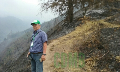 38 hectáreas fueron las más afectadas con el incendio en Sotonorte