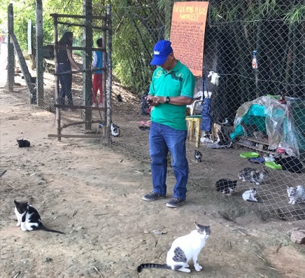 Apoyamos jornada de protección a los gatos