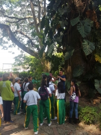 Celebramos Día de la Educación Ambiental en el Jardín Botánico