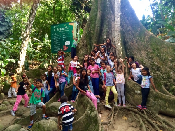 Niños, jóvenes y adultos disfrutaron de vacaciones recreativas en el Jardín Botánico