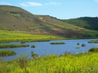 En el Día de los Humedales: Unidos por El Pantano