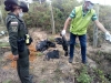 Grupo de Fauna atendió muerte de 11 aves de carroña en Piedecuesta