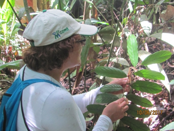 Bióloga de la CDMB integra el Grupo de Especialistas de la Flora de Colombia