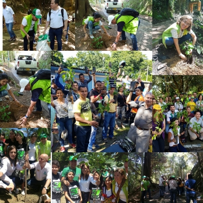 Culminamos Siembratón por la Paz liderada por la Policía Metropolitana de Bucaramanga