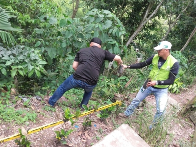 Con siembraton comunidad educativa de Rionegro protege su talud