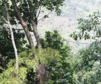 En Rionegro socializamos avances del área de conservación El Aburrido