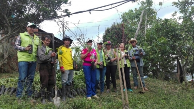 Sigue la reforestación en el Día Mundial del Medio Ambiente