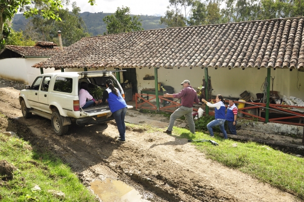 CDMB y Hogares Claret siembran 200 plantas en Piedecuesta