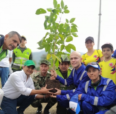 Inciamos la Sembraton con 100 guayacanes