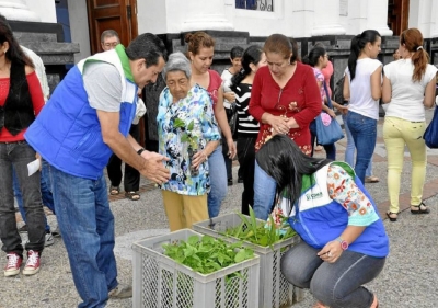 40 mil plántulas entregará la CDMB a las parroquias para el domingo de Ramos