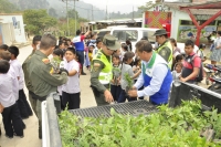 El viernes, entregamos plántulas para reemplazar la Palma de Cera