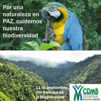 Este año tendremos nueva área especial protegida, para proteger la biodiversidad