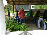 Entregamos 150 Guayacanes al corregimiento Santa Cruz de la Colina