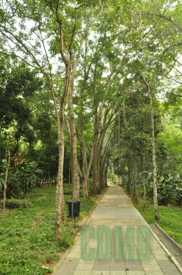 CDMB reforzar&aacute; seguridad en el Parque La Flora