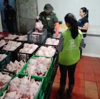 Grupo GEA selló matadero ilegal de pollos