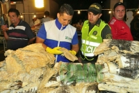 Decomisadas 200 libras de bagre en Centroabastos