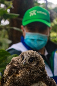 CDMB celebra por lo alto el Día Nacional de la Biodiversidad